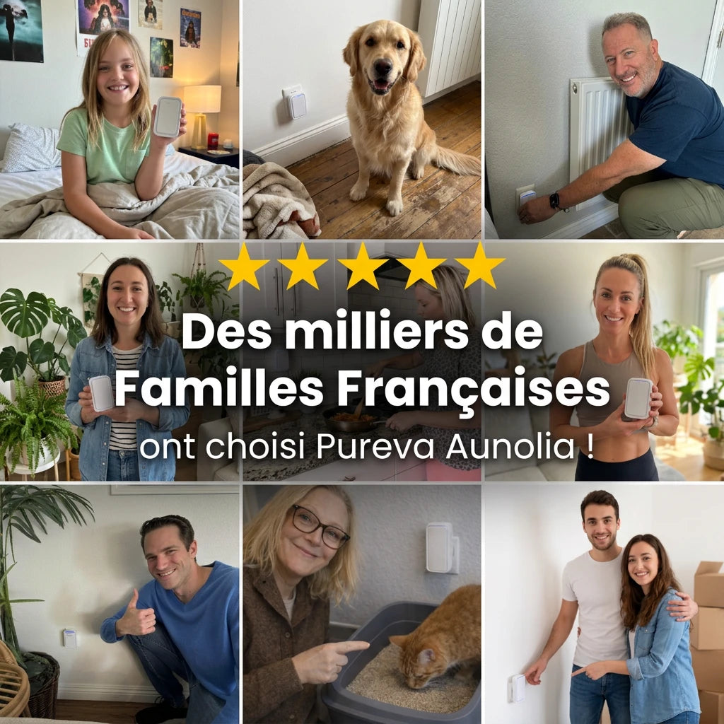 Pureva – Des matins plus frais et un foyer plus sain